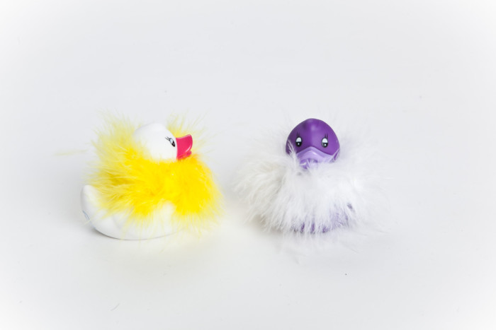 FA ENTE mit Federboa – Bild 2